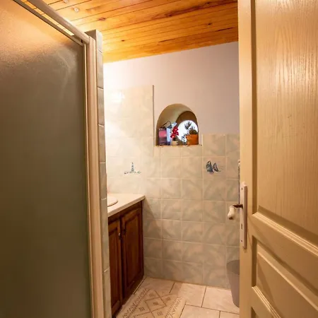 Maison Spacieuse Avec Piscine Privee Et Animaux Acceptes - Fr-1-616-355 *